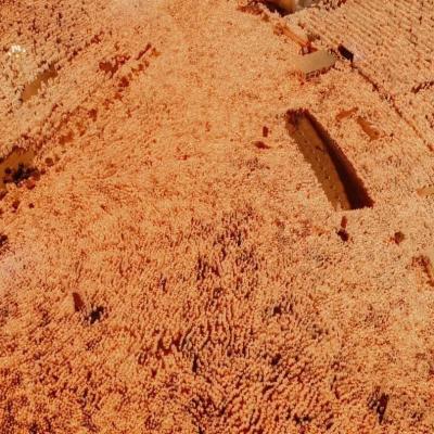 በአዲስ አበባ መስቀል አደባባይ የተካሄደው 3ኛው ዙር "የአእላፋት ዝማሬ" በታላቅ ድምቀት ተጠናቀቀ።