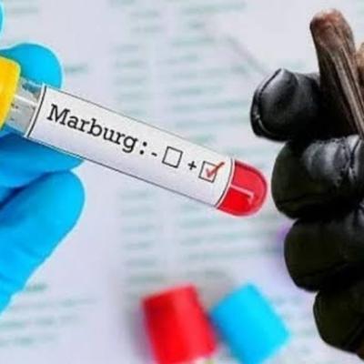 ማርበርግ ቫይረስ፡ የሟቾች ቁጥር ስምንት ደረሰ